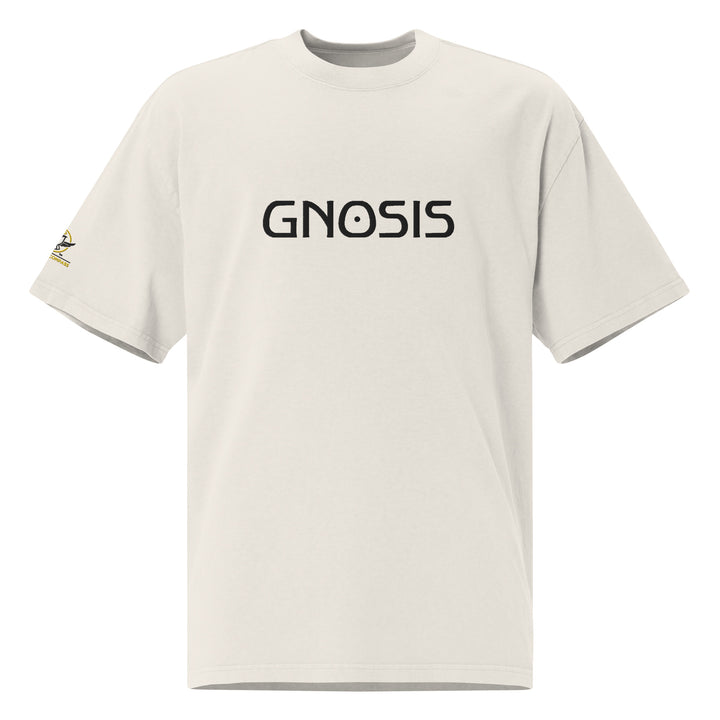 Gnosis Oversized T-Shirt Embroidery