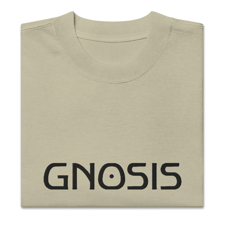 Gnosis Oversized T-Shirt Embroidery