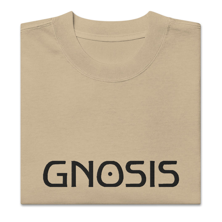 Gnosis Oversized T-Shirt Embroidery